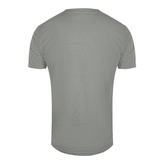 Camiseta Gris Con El Logo Abstracto Del Tigre De Cavalli Class - Image 2