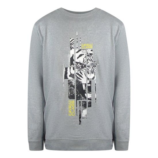 Sudadera Gris Con Gráfico De Tigre Astillado De Cavalli Class - Image 1