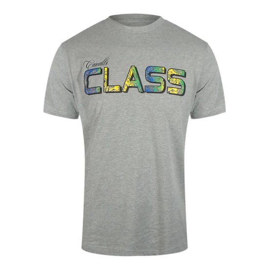 Camiseta Gris Con Logotipo Floral Vibrante De Cavalli Class - Image 1