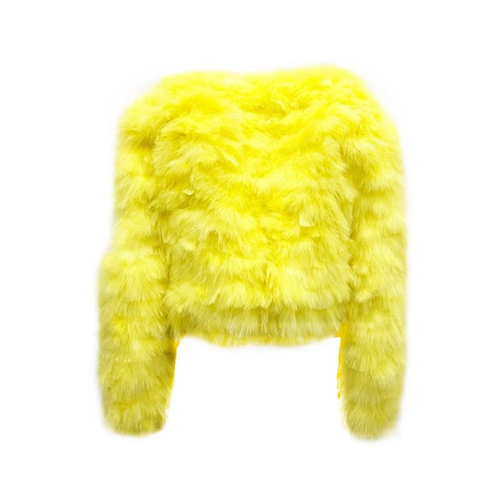 Chaqueta bomber con plumas de Dsquared2 - Image 3