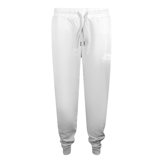 Pantalones Deportivos Cavalli Class Bold Logo Gris Claro - Image 1