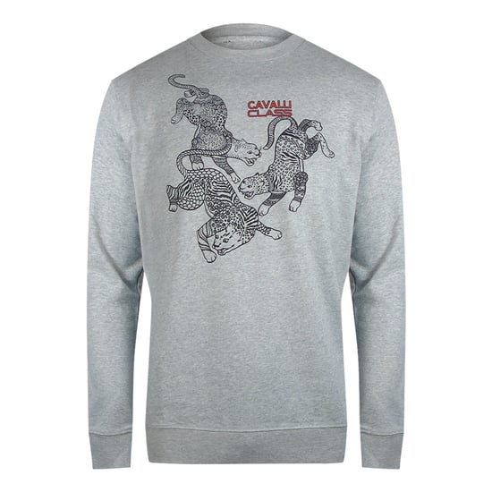 Sudadera Gris Con Diseño De Leopardo Y Cachemira Cavalli Class - Image 1