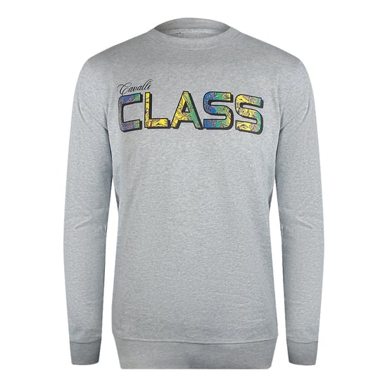 Sudadera Gris Con Logotipo Floral Vibrante De Cavalli Class - Image 1