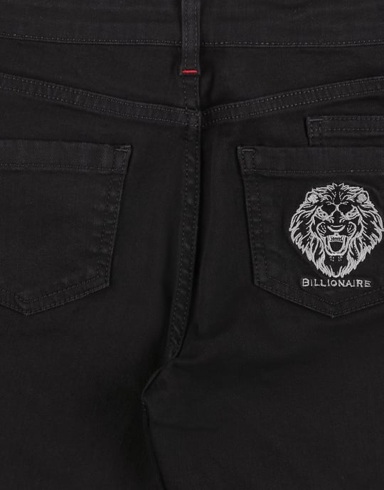 Vaqueros Lion - Image 4