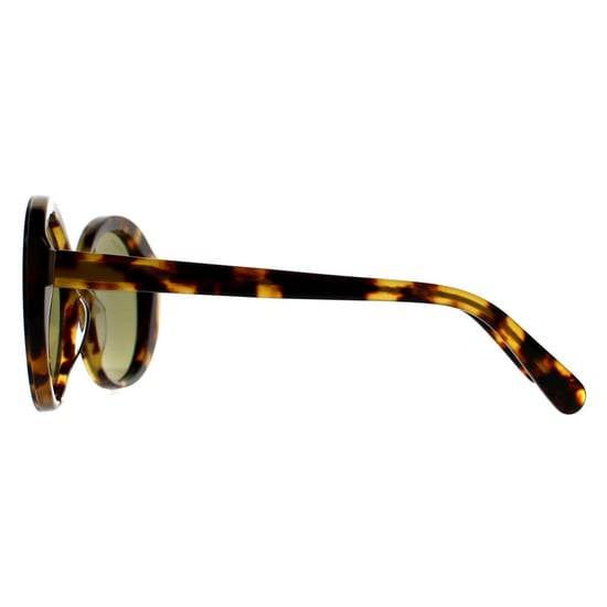 Serengeti Round Womens Shiny Tortoise Havana Mineral 555nm Green Photochromic Bacall - Image 3