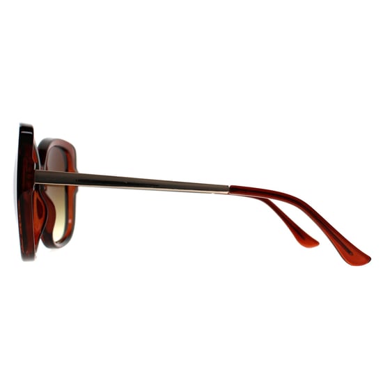 Calvin Klein Butterfly Womens Transparente Marrón Gradiente CK22548S - Image 3