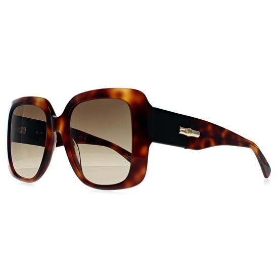 Longchamp Square Womens Havana Marrón Degradado LO713S - Image 2