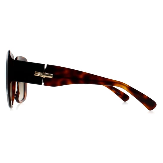 Longchamp Square Womens Havana Marrón Degradado LO713S - Image 3