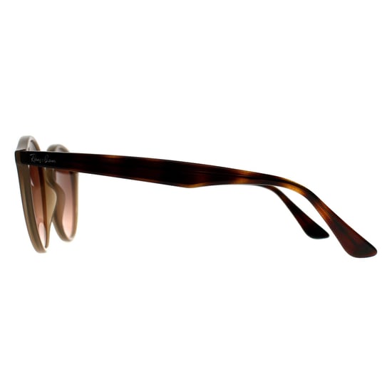 Ray-Ban Redondas Unisex Pulidas Tórtola Rosa Gradiente Gris 2180 - Image 3