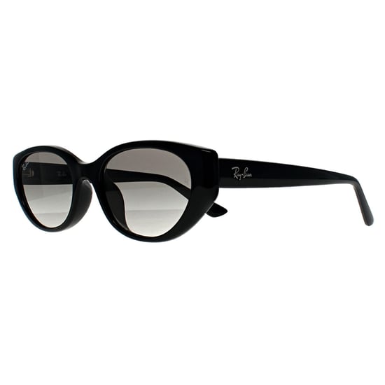 Ray-Ban Oval Womens Pulido Negro Gris Gradiente RB4457D Bio Based - Image 2