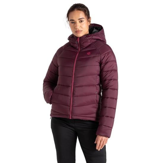 Dare 2B Womens/Ladies Torrek Baffled Padded Jacket (Fig) - Image 4