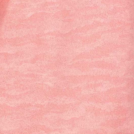 Trespass Womens/Ladies Livia TP75 Long-Sleeved Active Top (Pink Shell) - Image 4