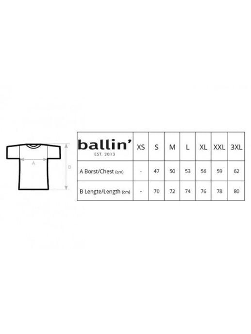 Ballin Est. 2013 Tee SS Tapered Fit Shirt Gris - Image 2