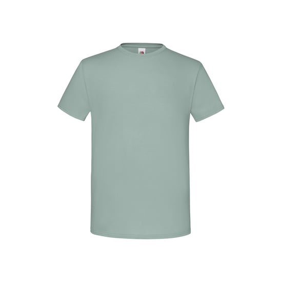 Fruit of the Loom Unisex Adult Iconic T-Shirt (Sage) - Image 1