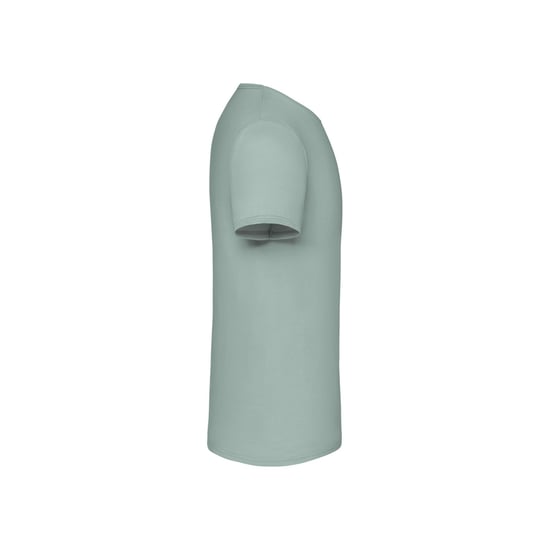 Fruit of the Loom Unisex Adult Iconic T-Shirt (Sage) - Image 3