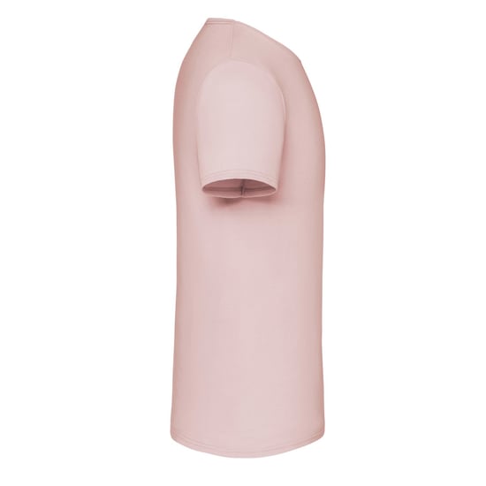 Fruit of the Loom Unisex Adult Iconic T-Shirt (Powder Rose) - Image 3