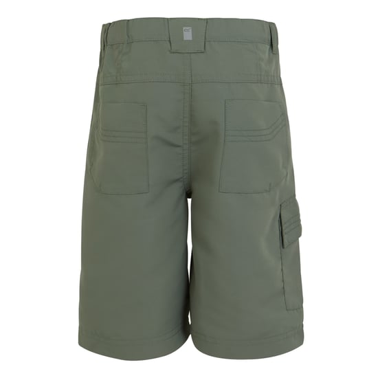 Regatta Childrens/Kids Sorcer II Shorts (Agave Green) - Image 2