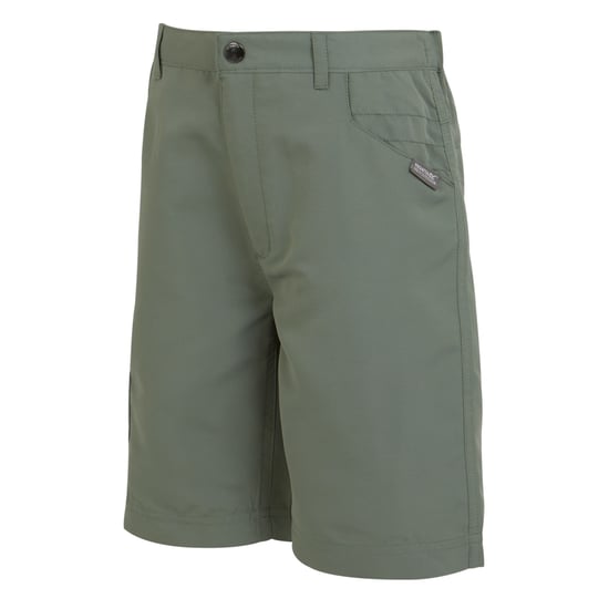 Regatta Childrens/Kids Sorcer II Shorts (Agave Green) - Image 3