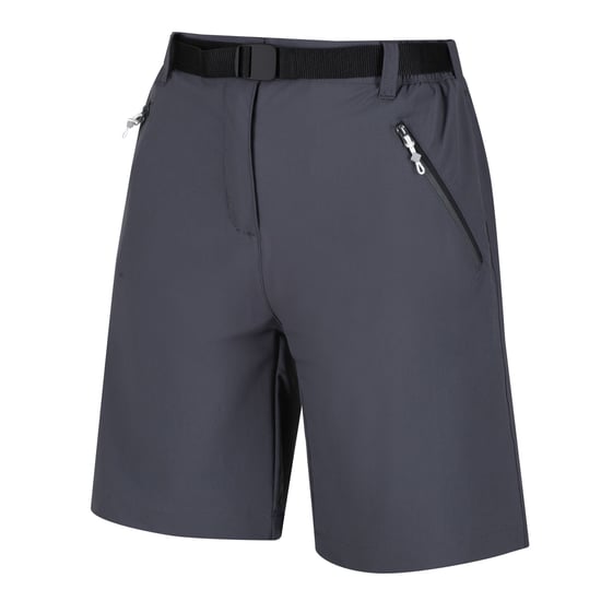 Regatta Womens/Ladies Xert III Stretch Shorts (Seal Grey) - Image 3