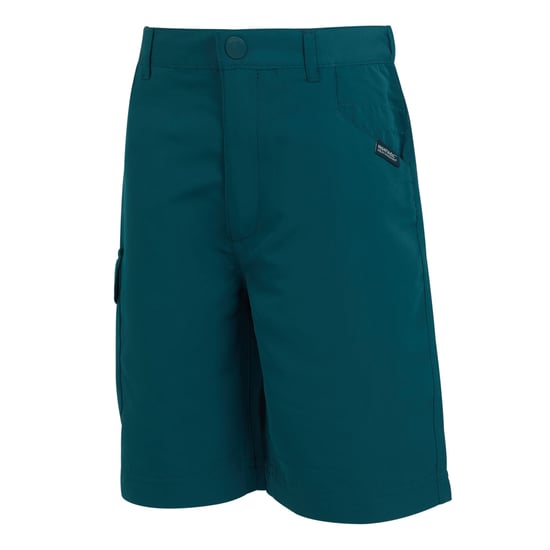 Regatta Childrens/Kids Sorcer II Shorts (Moroccan Blue) - Image 3