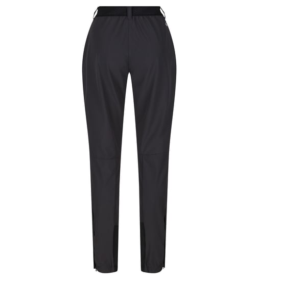 Regatta Womens/Ladies Mountain III Walking Trousers (Ash/Black) - Image 2
