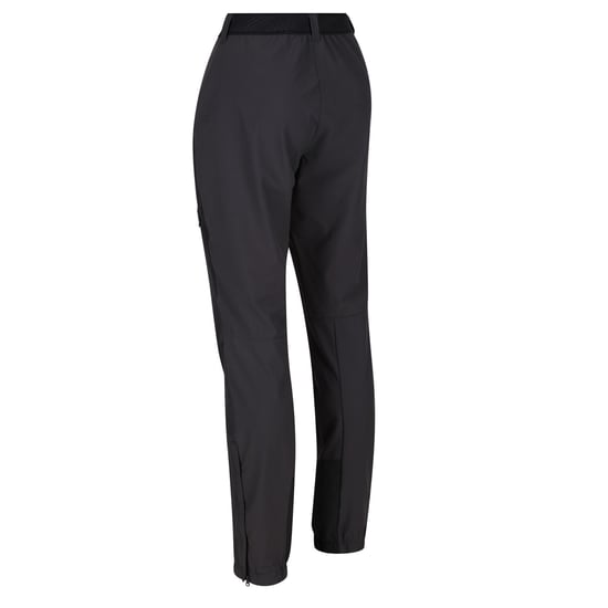 Regatta Womens/Ladies Mountain III Walking Trousers (Ash/Black) - Image 3
