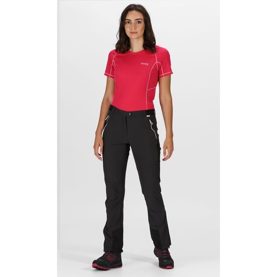 Regatta Womens/Ladies Mountain III Walking Trousers (Ash/Black) - Image 4