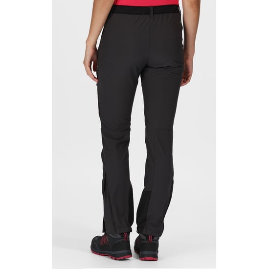Regatta Womens/Ladies Mountain III Walking Trousers (Ash/Black) - Image 5