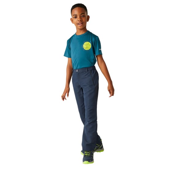 Regatta Childrens/Kids Sorcer VI Hiking Trousers (Navy) - Image 4