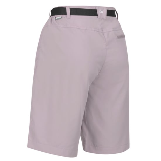 Regatta Womens/Ladies Xert Stretch Shorts (Heather) - Image 4