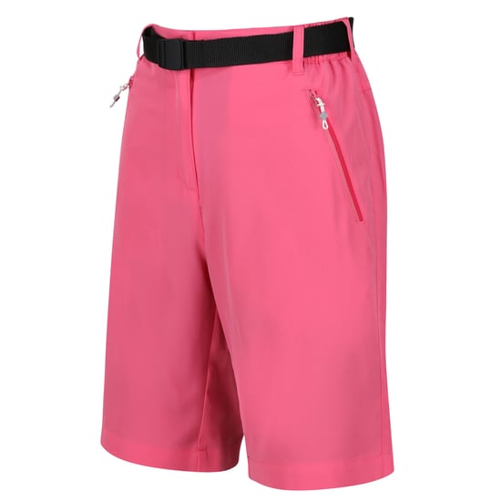 Regatta Womens/Ladies Xert Stretch Shorts (Fruit Dove) - Image 3