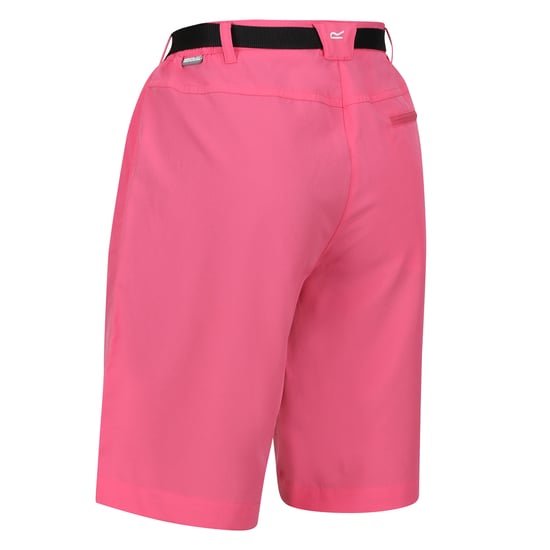Regatta Womens/Ladies Xert Stretch Shorts (Fruit Dove) - Image 4