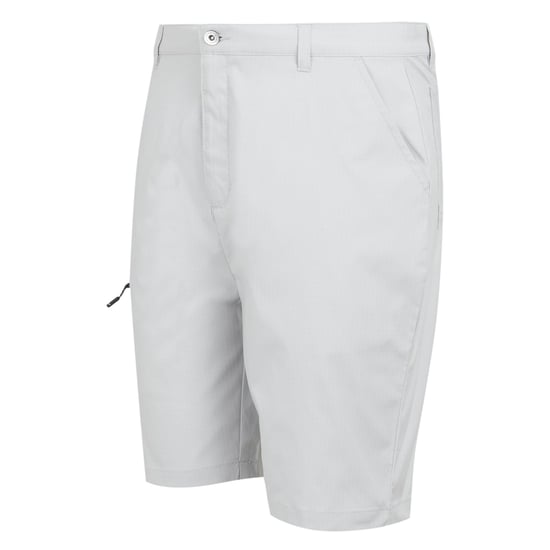 Regatta Mens Dalry Multi Pocket Shorts (Silver Grey) - Image 3