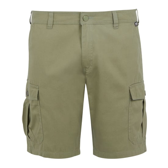 Regatta Mens Ruwan Casual Shorts (Fauna) - Image 1