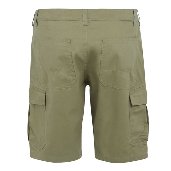 Regatta Mens Ruwan Casual Shorts (Fauna) - Image 2