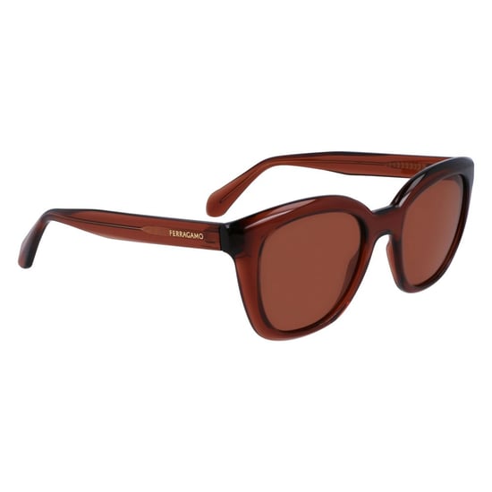 Gafas de sol marrones con inyección - Image 2
