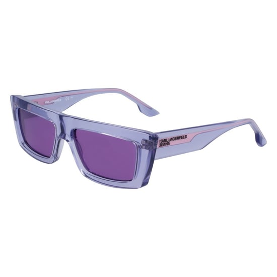 Gafas de sol moradas inyectadas - Image 1