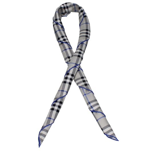 Fular de Seda Gris - Image 1