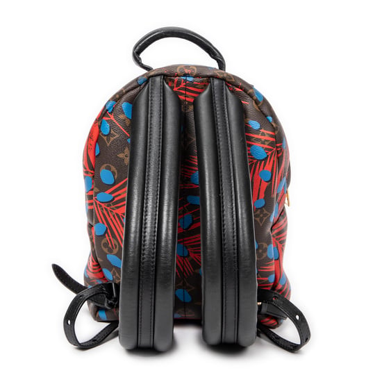 Louis Vuitton Ltd.Ed.YayoiJungleDotsPalmSprings PM en Marrón/Rojo/Azul Lienzo recubierto - Image 5