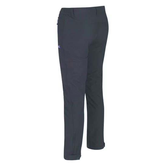Regatta Great Outdoors Mens Adventure Tech Geo II Wind Resistant Long Leg Softshell Trousers (Ash) - Image 2