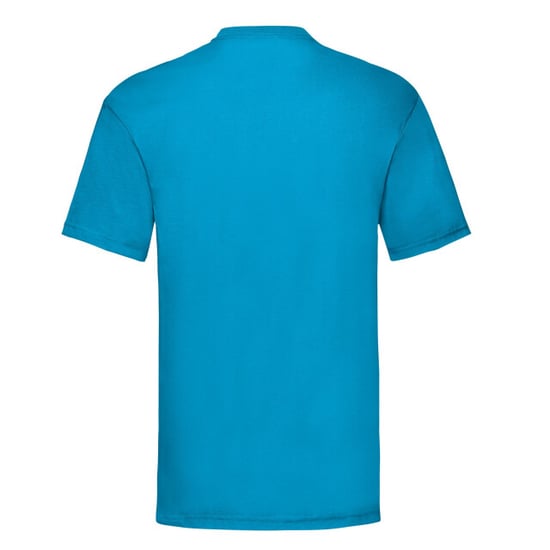 Fruit of the Loom Unisex Adult Valueweight T-Shirt (Azure Blue) - Image 2