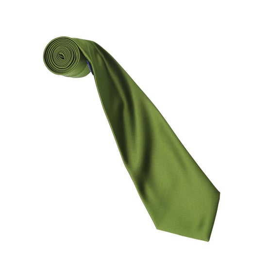 Premier Colours Collection Satin Tie (Oasis Green) - Image 2
