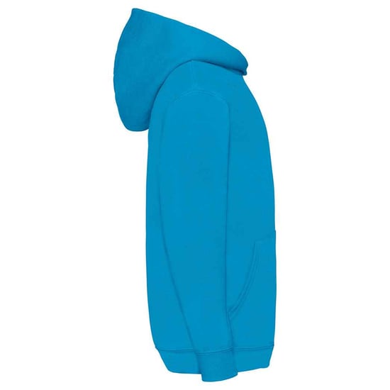 Fruit of the Loom Childrens/Kids Classic Hoodie (Azure Blue) - Image 3