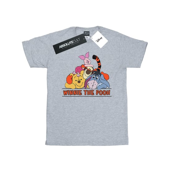 Disney Mens Winnie The Pooh Group T-Shirt (Sports Grey) - Image 1