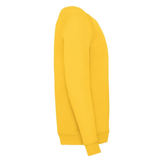 Fruit of the Loom Childrens/Kids Classic Raglan Sweatshirt (Sunflower) - Image 3