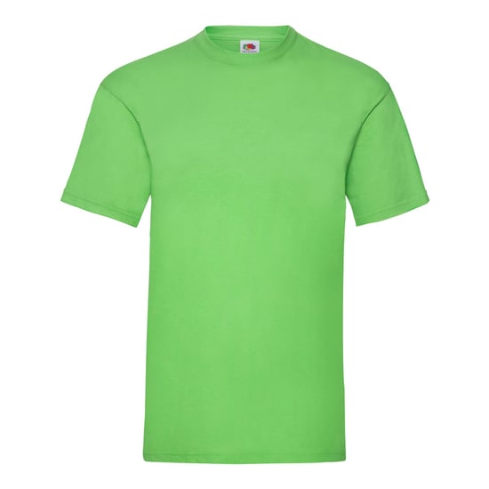 Fruit of the Loom Unisex Adult Valueweight T-Shirt (Lime) - Image 1
