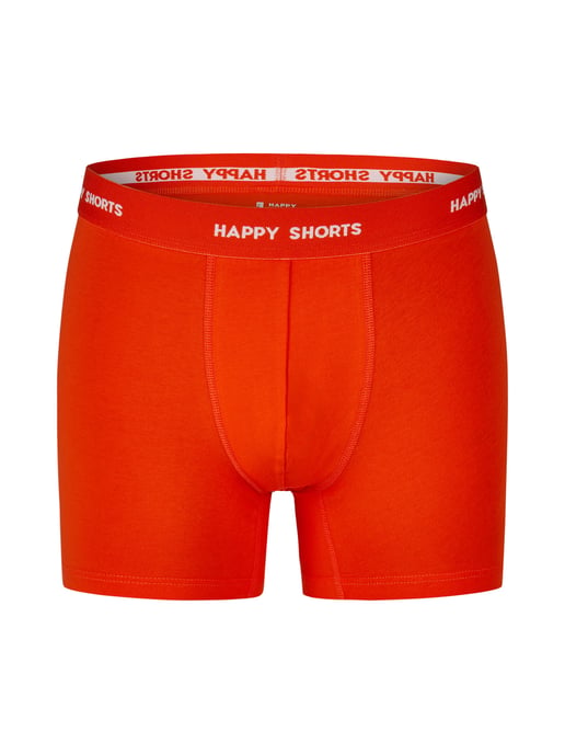 Happy Shorts Muchachos Beber Neon - Image 3