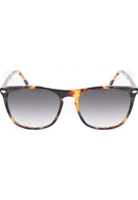 Gafas de sol Belstaff MERIDIAN-II-S168 MERIDIAN II 55 S168 - Image 2