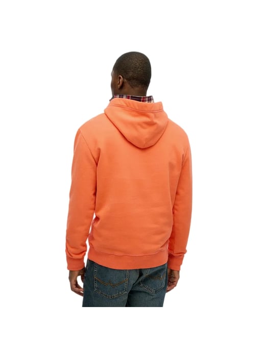 GBEsencial - Image 4