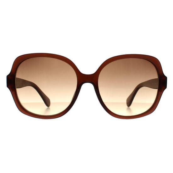 Calvin Klein Cat Eye Womens Crystal Marrón Gradiente CK19538S - Image 1